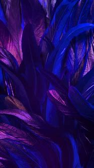 Image result for iPhone 10 Dark Purple