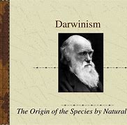 Image result for darwinisml