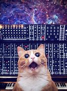 Image result for Cats On Synthesizers in Space