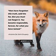 Image result for Fox Quotes Clever