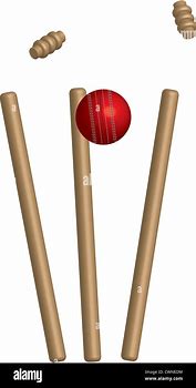 Image result for Photo of Cricket Bat Ball and Wicket