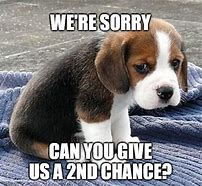 Image result for Sorry Puppy Meme