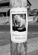 Image result for You Are Awesome Cat Meme