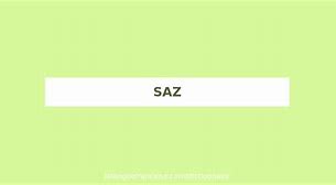 Image result for Saz Definition