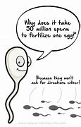 Image result for Fertility Memes
