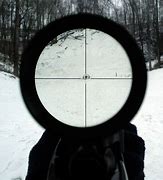 Image result for Single-Pin Sights