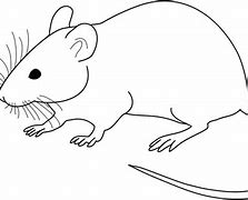 Image result for How to Draw Cute Mouse