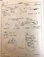 Image result for Arrows in Lab Notebook