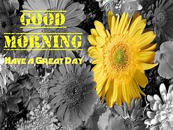 Image result for Bing Images Good Morning Have a Great Day