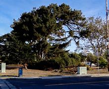 Image result for 899 Lake Merced Blvd., San Francisco, CA 94132 United States