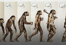 Image result for How Many Humans Are There