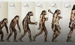 Image result for Humans 20000 Years Ago