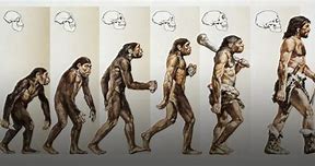 Image result for Humans 5 000 Years Ago