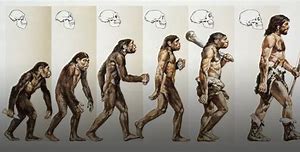 Image result for Humans in 10 000 Years