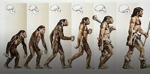 Image result for Humans 200000 Years Ago