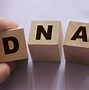 Image result for Segment of DNA On a Chromosome