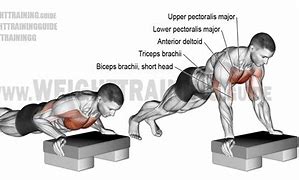 Image result for Incline Push-Up Muscles Worked