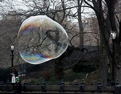 Image result for Living in a Bubble