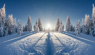 Image result for Snow Wallpaper 8K