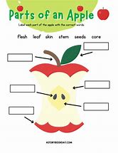 Image result for The Apple Lable Parts