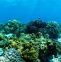 Image result for Beneath the Sea