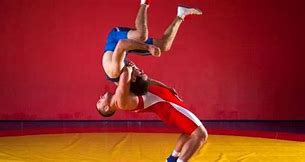 Image result for Wrestling Workouts