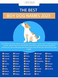 Image result for Boy Names for a Dog