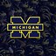 Image result for Michigan Wolverines Background