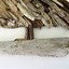 Image result for Driftwood Wall Hanging Ideas