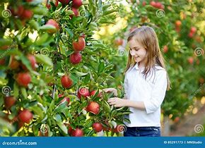 Image result for Little Girl in the Apple Tree