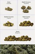 Image result for 1 8 of Weed