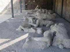 Image result for Mount Vesuvius Bodies