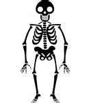 Image result for Halloween Cute Skeleton Cartoon