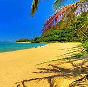 Image result for Beach Computer Wallpaper Pink