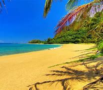 Image result for America Beach