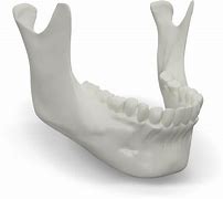 Image result for Jawbone PNG