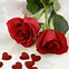Image result for Beautiful Lovers Flowers