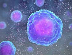 Image result for cytokiny