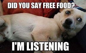 Image result for Dog Food Meme