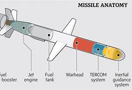 Image result for Tomahawk Missile Wings