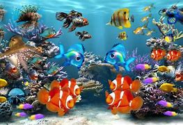 Image result for Fish Screensavers Free Downloads