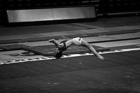 Image result for Iowa Men's Gymnastics