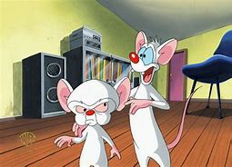 Image result for Brinky Pinky and the Brain