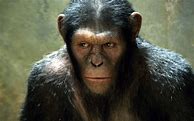 Image result for Rise of the Planet of the Apes