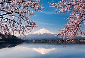Image result for Mt. Fuji Tokyo Japan