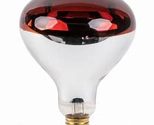 Image result for 250W Heat Lamps