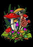 Image result for Magic Mushroom Forest
