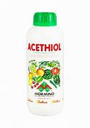 Image result for aceitunil