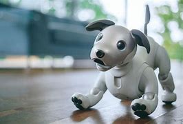 Image result for Sony Aibo TV Show