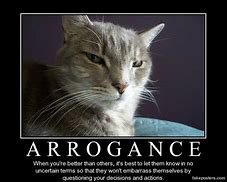 Image result for Conceited Cat Meme
